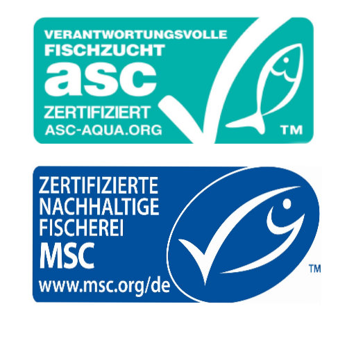 Logo ASC/ MSC