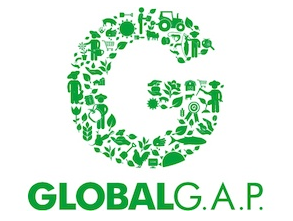 Logo GLOBALG.A.P. Lieferkette (CoC)